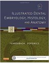 249-RP-Illustrated Dental Embryology, Histology, and Anatomy (2016).jpg