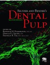 263-RP-Seltzer and Bender’s Dental Pulp (2012).jpg