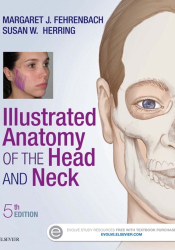 Illustrated Anatomy of the Head and Neck 