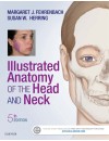 285-RP- Illustrated Anatomy of the Head and Neck (2017).jpg