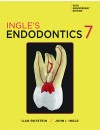 580-RP-Ingles Endodontics (2019)cover.jpg