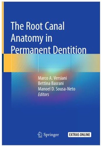 The Root Canal Anatomy in Permanent Dentition 2019