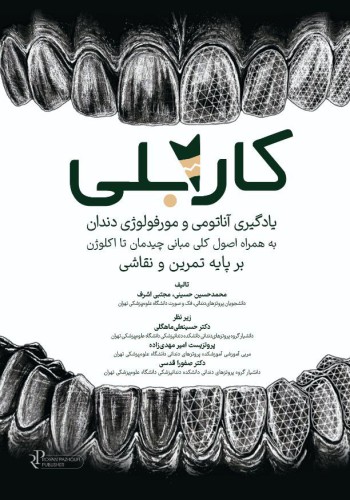 کارابلی یادگیری آناتومی و مورفولوژی دندان به همراه اصول کلی مبانی چیدمان و اکلوژن بر پایه تمرین و نقاشی