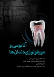 آناتومی و مورفولوژی دندان‌ها 