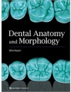 Dental Anatomy and Morphology.jpg