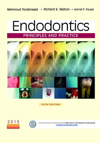 Endodontics Principles and Practice
