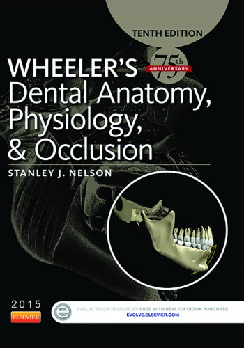 Wheeler's Dental Anatomy, Physiology, and Occlusion 2016