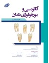 آناتومی و مورفولوژی دندان-چاپ سوم.jpg