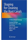 Shaping for Cleaning the Root Canals 2022 : A Clinical-Based Strategy 