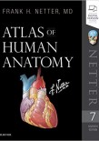 2019 Netter Atlas of Human Anatomy