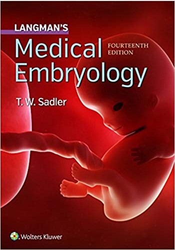 Langmans Medical Embryology 2019