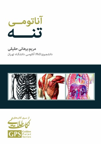 GPS نکات طلایی آناتومی تنه