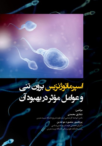  اسپرماتوژنزیس برون تنی و عوامل مؤثر در بهبود آن